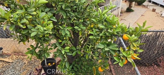 30949 Palmetto Palm Avenue, Homeland, CA 92548