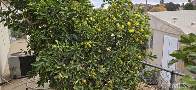 30949 Palmetto Palm Avenue, Homeland, CA 92548