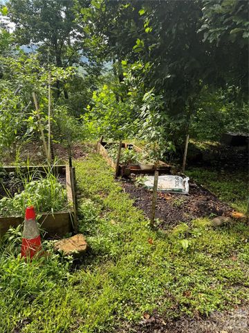 1886 Old Linville Road, Marion, NC 28752