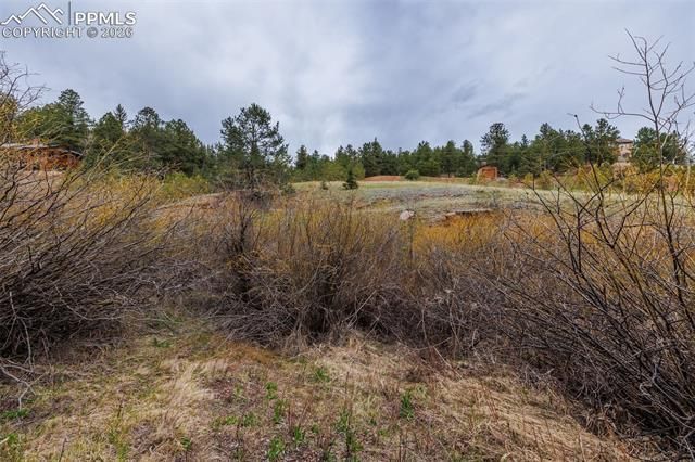 521 University Drive, Woodland Park, CO 80863