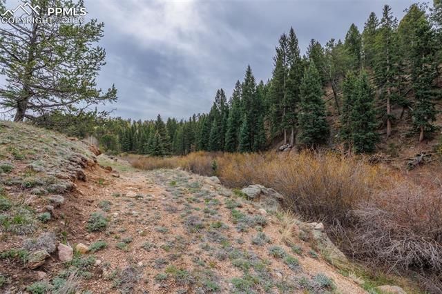 521 University Drive, Woodland Park, CO 80863