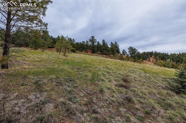 521 University Drive, Woodland Park, CO 80863