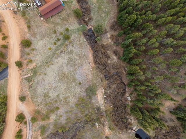 521 University Drive, Woodland Park, CO 80863