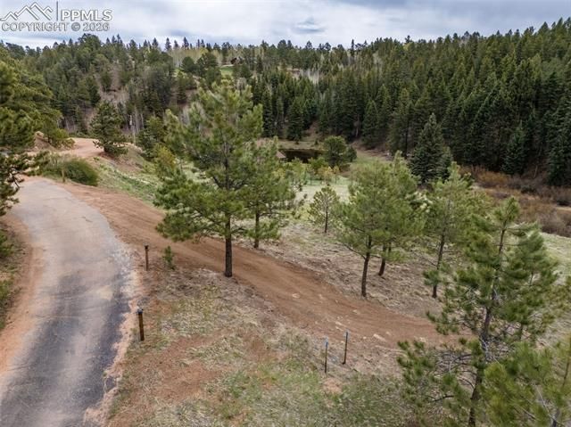 521 University Drive, Woodland Park, CO 80863