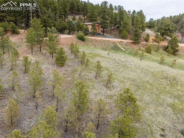 521 University Drive, Woodland Park, CO 80863