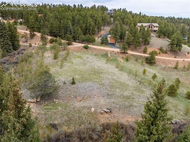 521 University Drive, Woodland Park, CO 80863