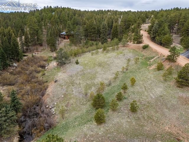 521 University Drive, Woodland Park, CO 80863
