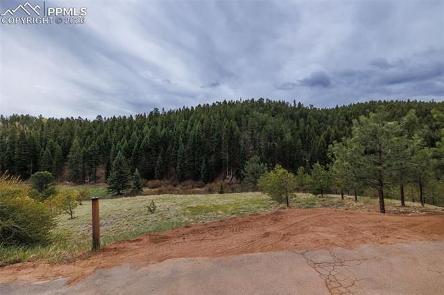 521 University Drive, Woodland Park, CO 80863
