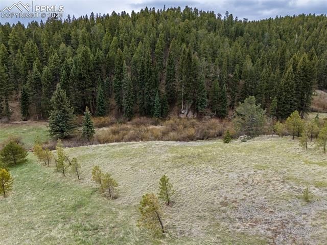 521 University Drive, Woodland Park, CO 80863