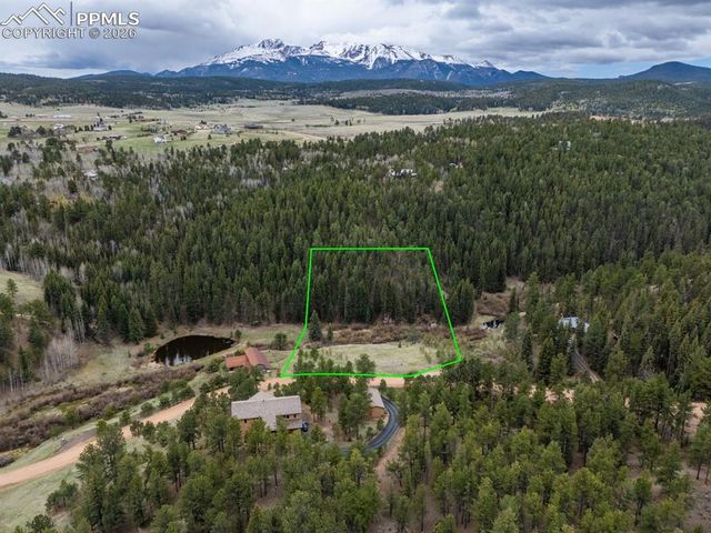 521 University Drive, Woodland Park, CO 80863
