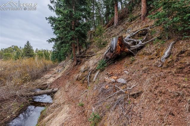 521 University Drive, Woodland Park, CO 80863