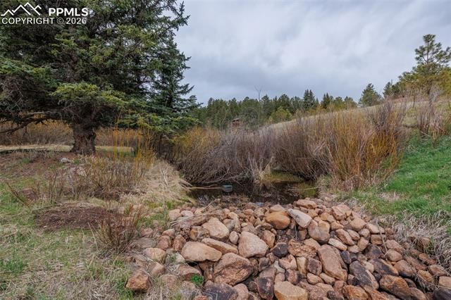 521 University Drive, Woodland Park, CO 80863
