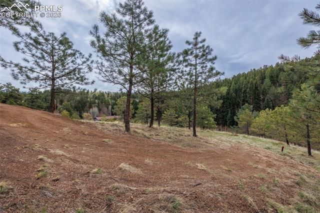 521 University Drive, Woodland Park, CO 80863