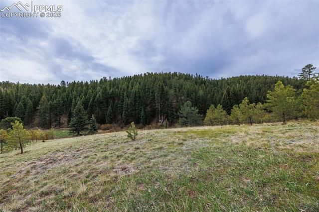 521 University Drive, Woodland Park, CO 80863