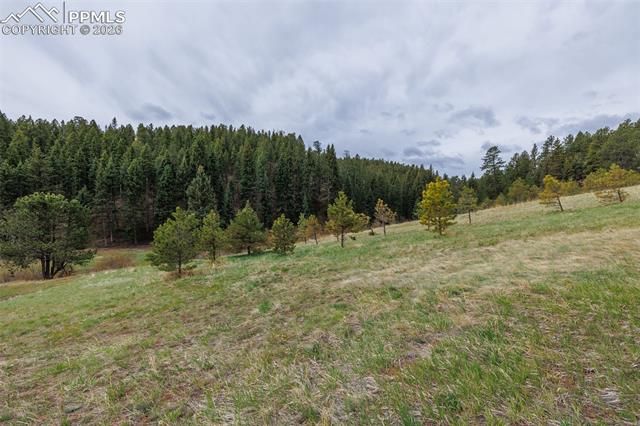 521 University Drive, Woodland Park, CO 80863