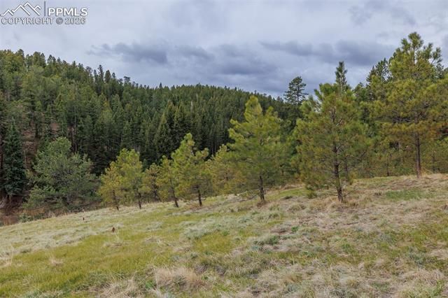 521 University Drive, Woodland Park, CO 80863