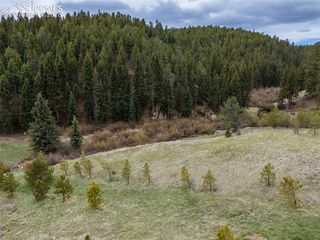 521 University Drive, Woodland Park, CO 80863