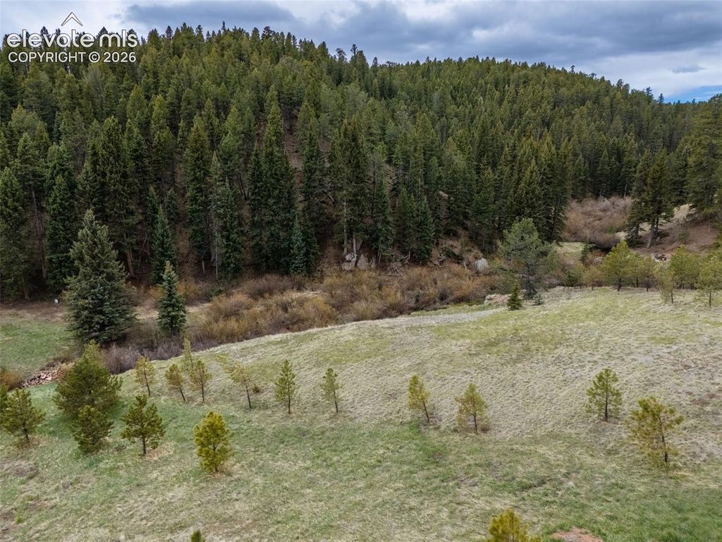 521 University Drive, Woodland Park, CO 80863 — photo 2