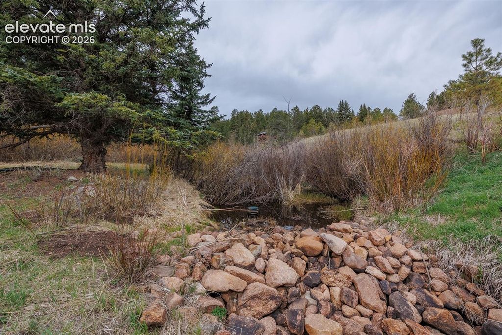 521 University Drive, Woodland Park, CO 80863 — photo 5