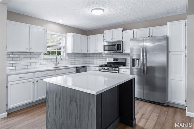17 Arbor Springs, Troy, IL 62294