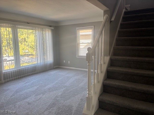 3807 Klusner Avenue, Parma, OH 44134