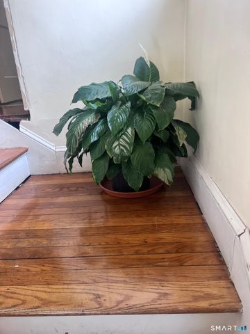 3461 Main Street, Bridgeport, CT 06606