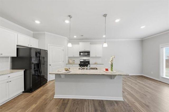 250 SWEET BAY Lane, Dallas, GA 30132