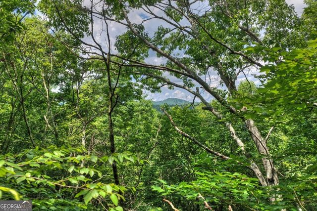 221 Shade Tree Lane 15, Mineral Bluff, GA 30559
