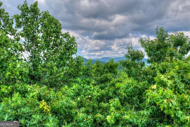 221 Shade Tree Lane 15, Mineral Bluff, GA 30559