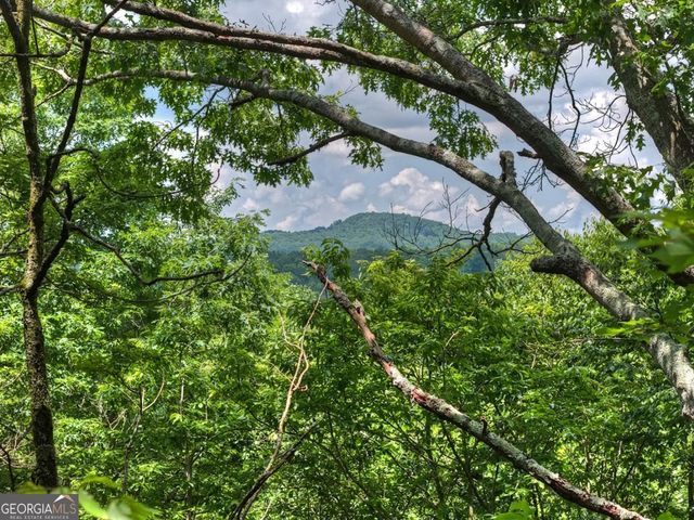 221 Shade Tree Lane 15, Mineral Bluff, GA 30559