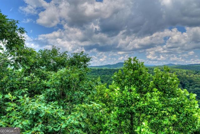 221 Shade Tree Lane 15, Mineral Bluff, GA 30559
