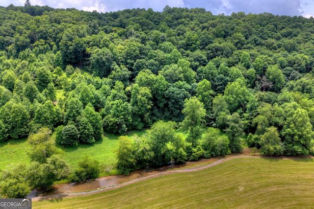 221 Shade Tree Lane 15, Mineral Bluff, GA 30559