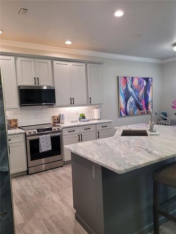 21205 CALLE ROSA DR 10, Land O Lakes, FL 34637