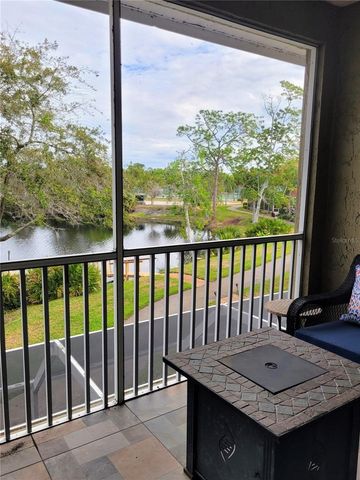 21205 CALLE ROSA DR 10, Land O Lakes, FL 34637