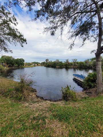 21205 CALLE ROSA DR 10, Land O Lakes, FL 34637