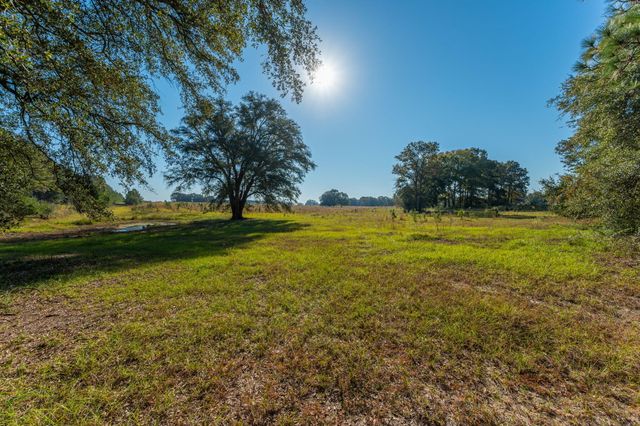 xx Wallace Road, Defuniak Springs, FL 32433