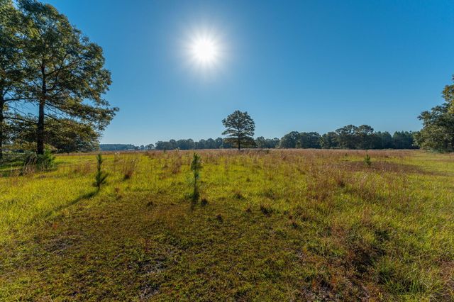 xx Wallace Road, Defuniak Springs, FL 32433