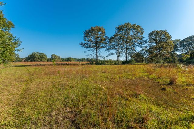 xx Wallace Road, Defuniak Springs, FL 32433