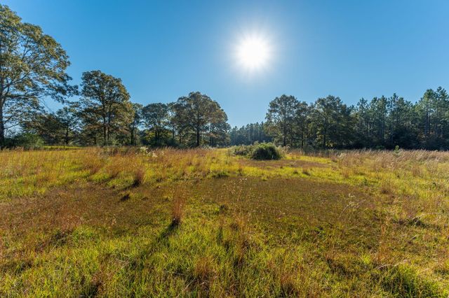 xx Wallace Road, Defuniak Springs, FL 32433