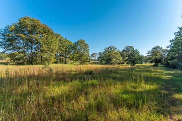 xx Wallace Road, Defuniak Springs, FL 32433