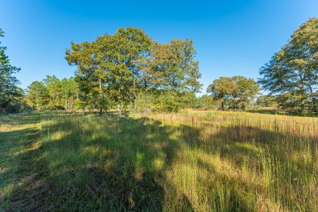 xx Wallace Road, Defuniak Springs, FL 32433