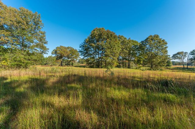 xx Wallace Road, Defuniak Springs, FL 32433