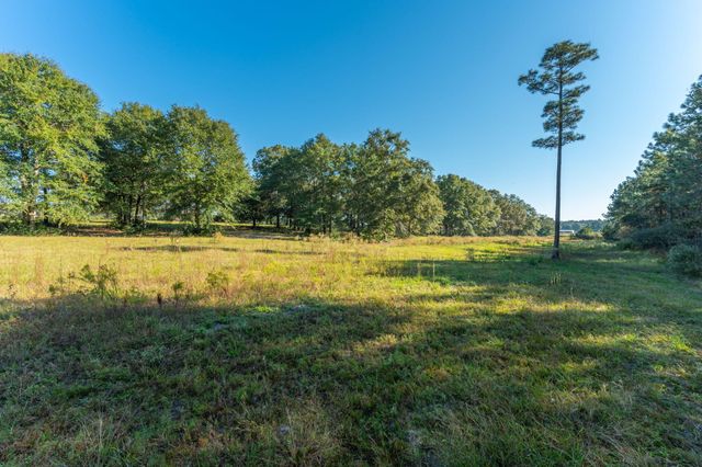 xx Wallace Road, Defuniak Springs, FL 32433
