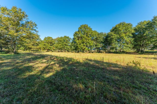 xx Wallace Road, Defuniak Springs, FL 32433