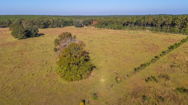 xx Wallace Road, Defuniak Springs, FL 32433
