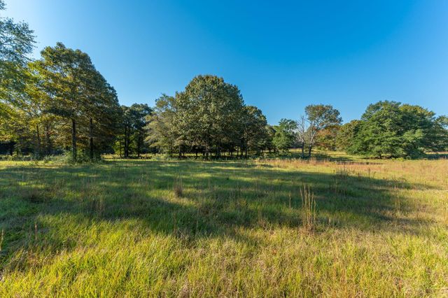 xx Wallace Road, Defuniak Springs, FL 32433