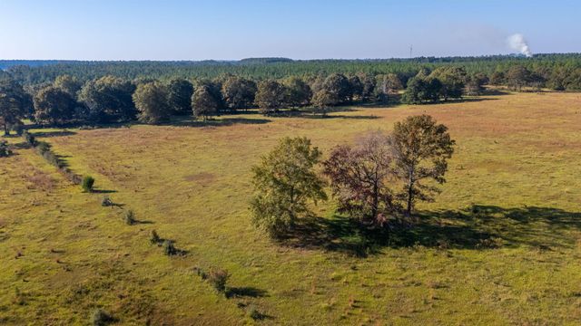 xx Wallace Road, Defuniak Springs, FL 32433