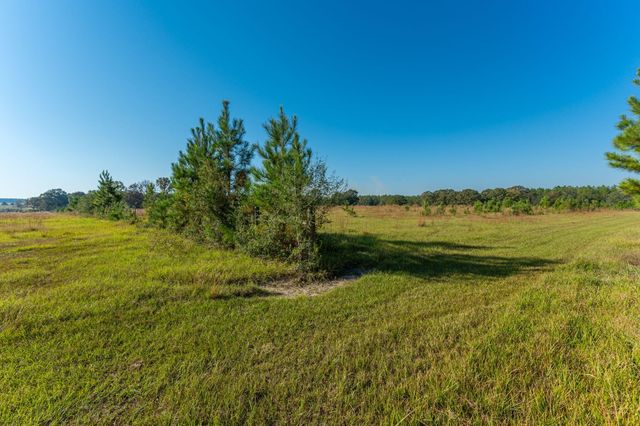 xx Wallace Road, Defuniak Springs, FL 32433