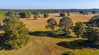 xx Wallace Road, Defuniak Springs, FL 32433