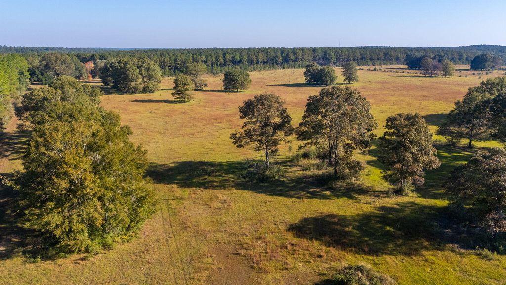 xx Wallace Road, Defuniak Springs, FL 32433